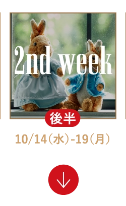 2nd week