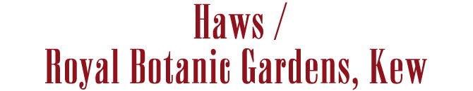 Haws /Royal Botanic Gardens, Kew
