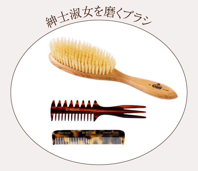 紳士淑女を磨くブラシ