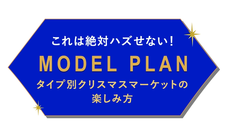 MODEL PLAN