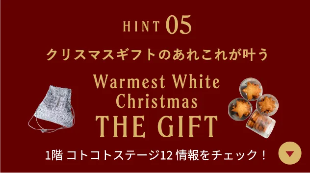 クリスマスギフトのあれこれが叶う Warmest White Christmas THE GIFT