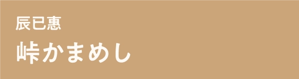 辰已惠峠かまめし