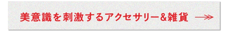 美意識を刺激するアクセサリー＆雑貨