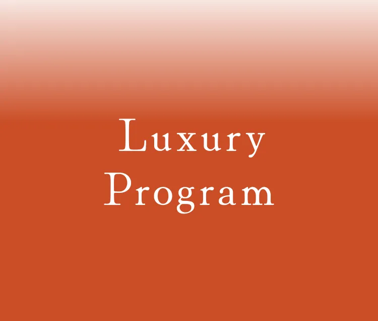 Luxury Program