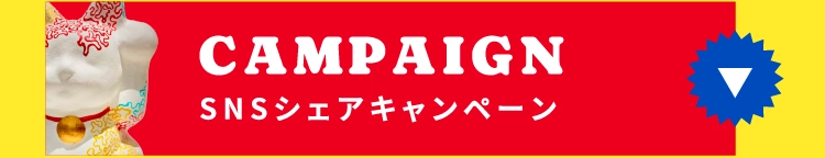 CAMPAIGN