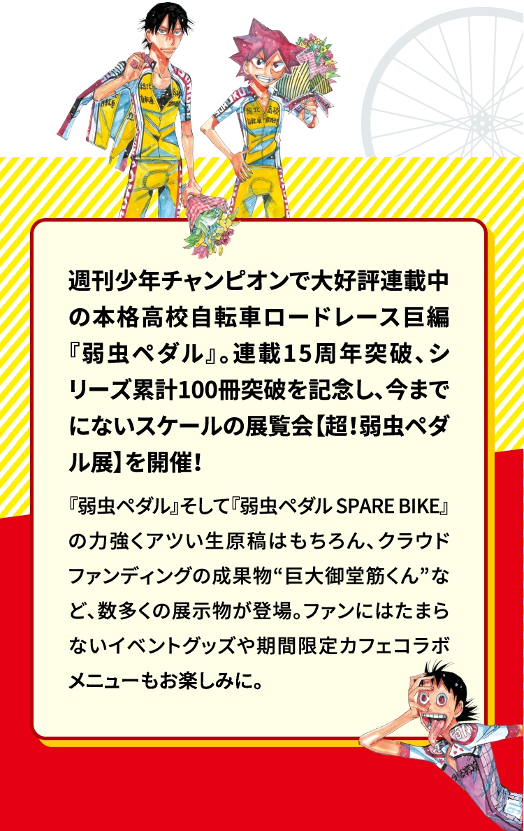 週刊少年チャンピオンで大好評連載中の本格高校自転車ロードレース巨編『弱虫ペダル』。連載15周年突破、シリーズ累計100冊突破を記念し、今までにないスケールの展覧会【超！弱虫ペダル展】を開催！ 『弱虫ペダル』そして『弱虫ペダル SPARE BIKE』の力強くアツい生原稿はもちろん、クラウドファンディングの成果物“巨大御堂筋くん”など、数多くの展示物が登場。ファンにはたまらないイベントグッズや期間限定カフェコラボメニューもお楽しみに。