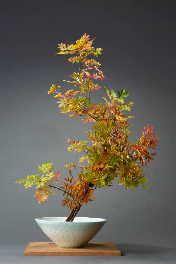 格花 「紅葉したななかまどの作品」
