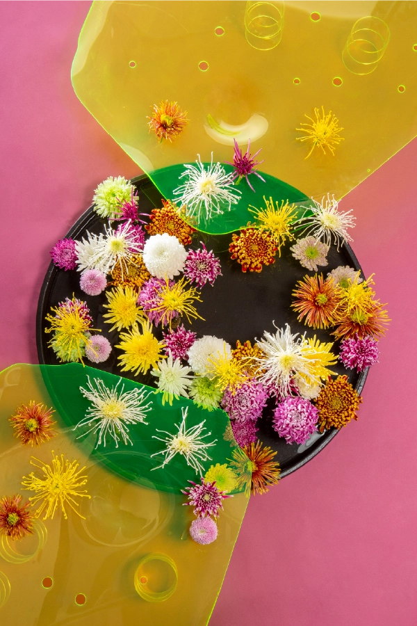 「色とりどりの菊を使った作品」 