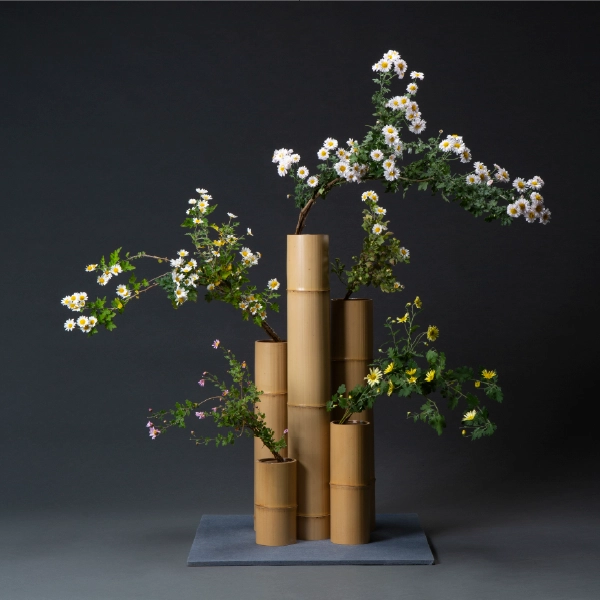 格花 「五管筒 菊」