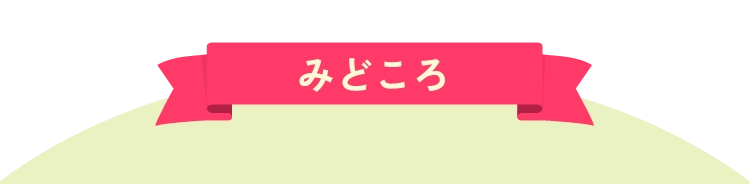 みどころ