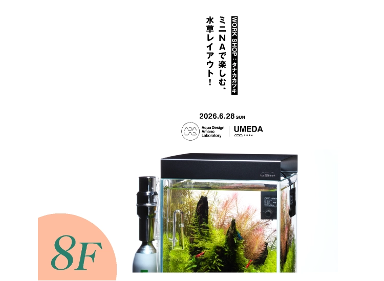 タナカカツキとミニNAで楽しむ、水草レイアウト!