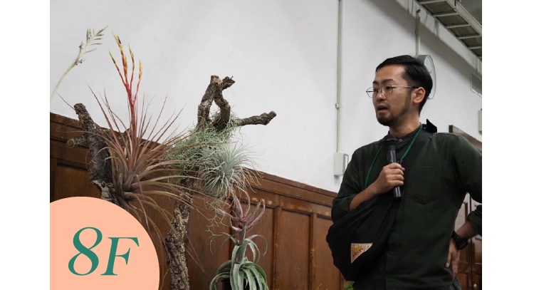 「TORIHADA PLANTS」ティランジアの育て方~ミスト散布だけでは育たない!?~