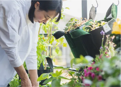 AgriPoucherでおうちコンポストワークショップ