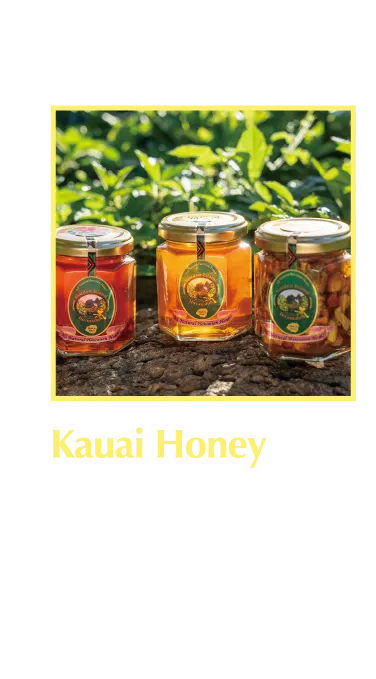 Kauai Honey 緑豊かなカウアイ島 アナホラ地区の花ならでは、風味豊かなはちみつ。