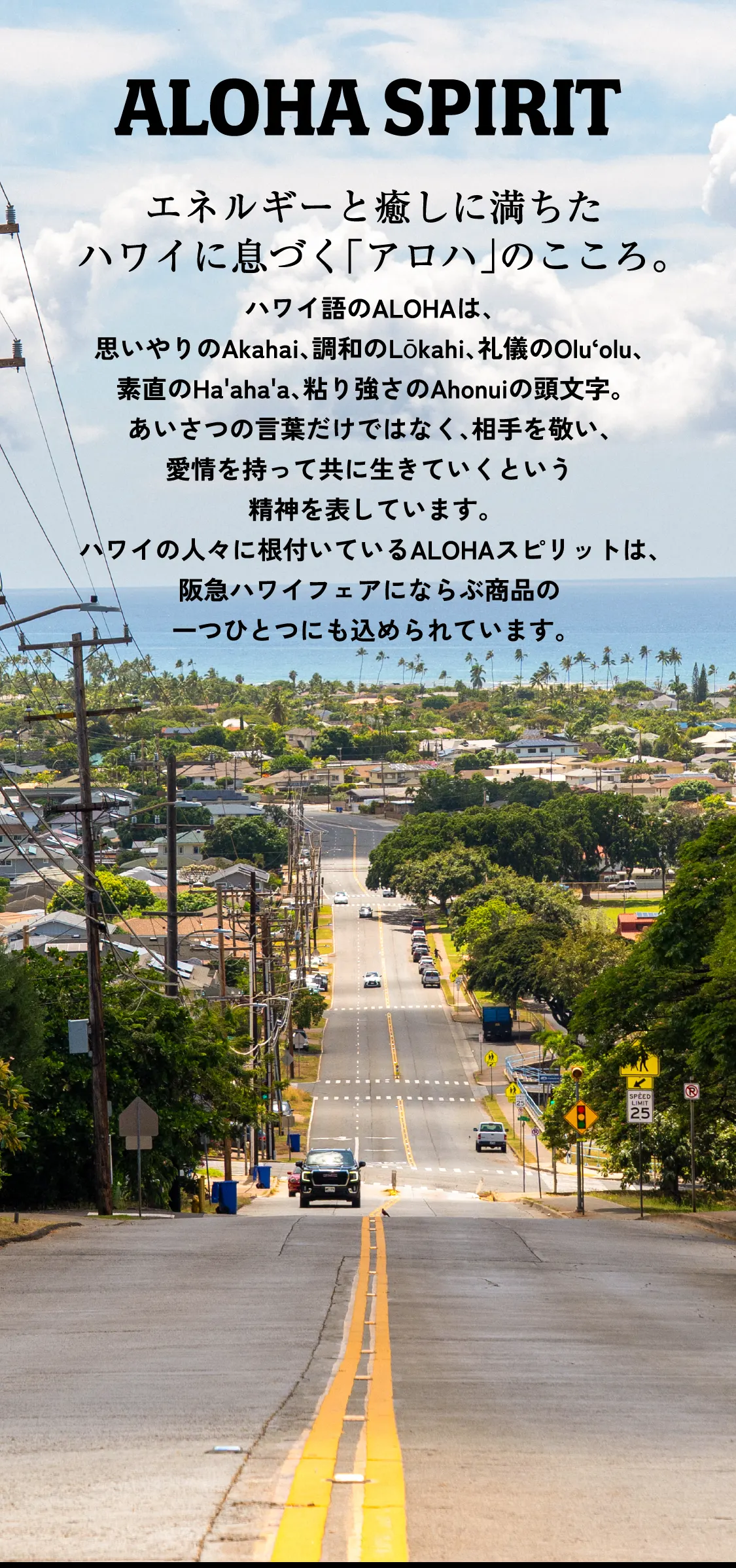 ALOHA SPIRIT