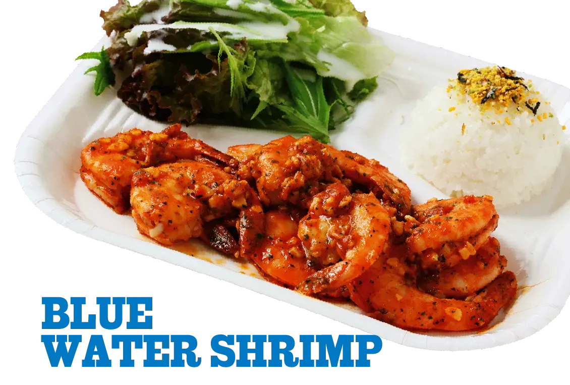 BLUE WATER SHRIMP