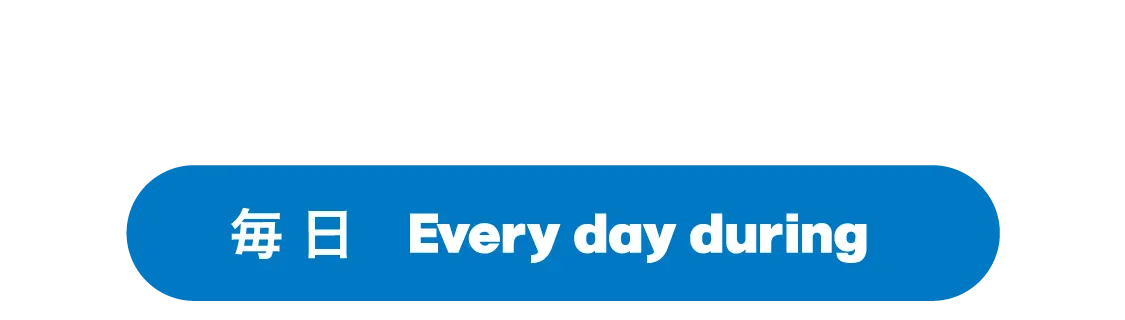 毎 日 Every day during