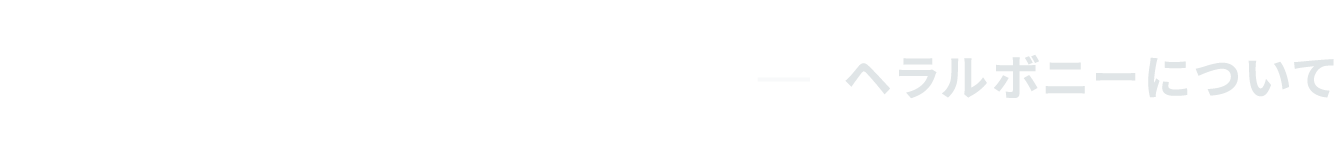 About HERALBONY