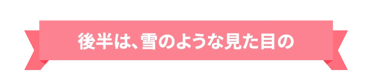 後半は、雪のような見た目の