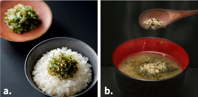 小樽「木の屋」