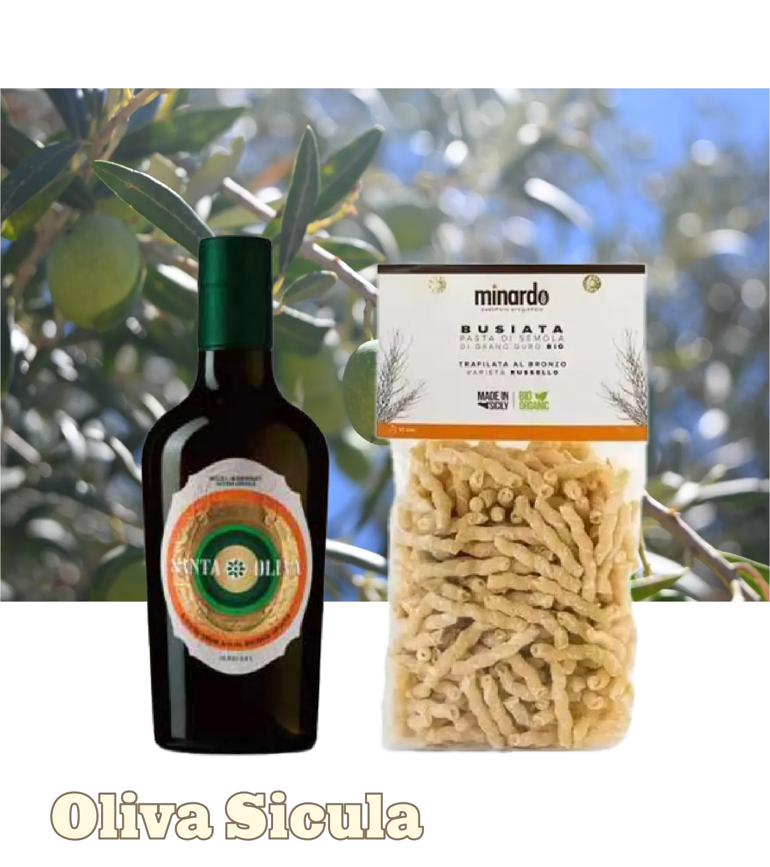 Oliva Sicula