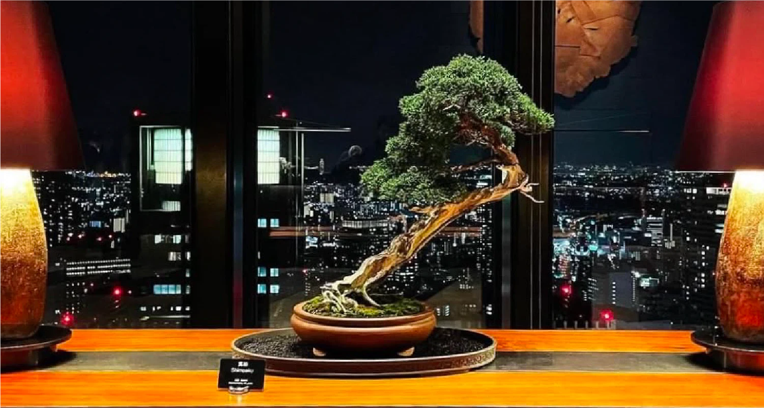 日本文化の象徴を、次世代へ継承する。