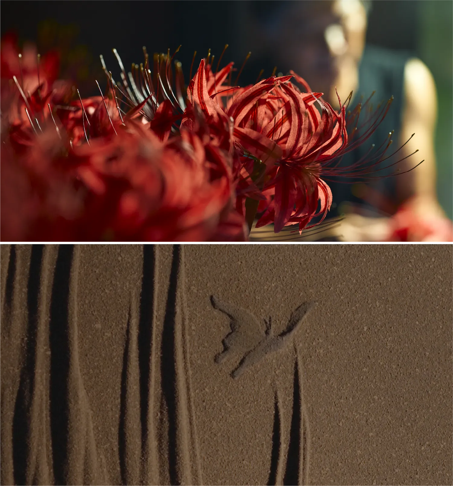 今回のフェア 「Japan and me.」への想いを聞いた。