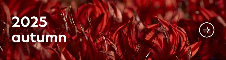 2025 autumn
