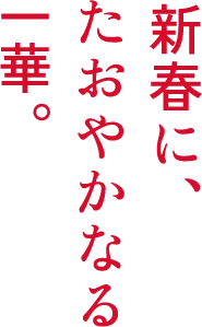 新春に、たおやかなる一華。