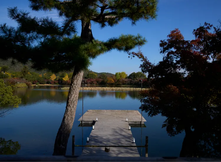 嵯峨御流の歴史と、家元なき華道