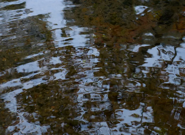 2026年ウィンドーの見どころ