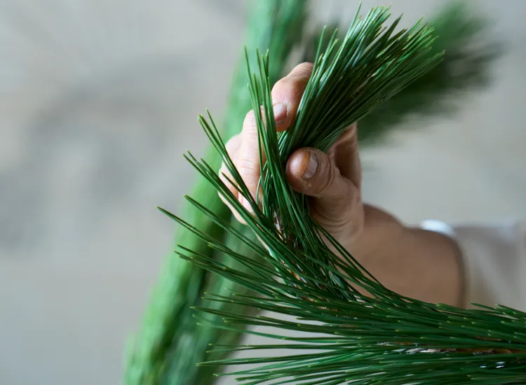 壮大かつ繊細、生きとし生けるものたちの正月。