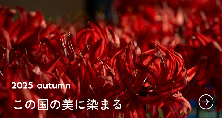 2025 autumn この国の美に染まる