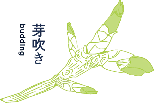 芽吹き