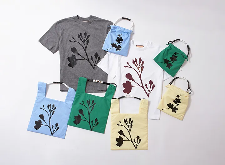 Plan C : The Bloom Edit