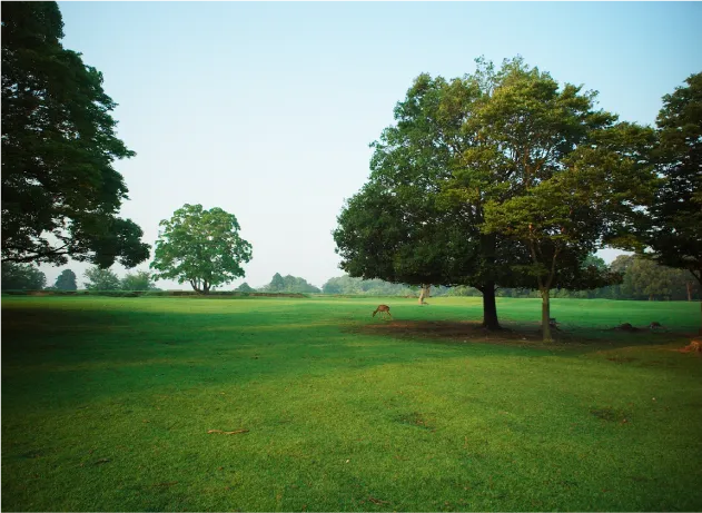 NARA TEIBAN  ～私と、日本の、長い話～
