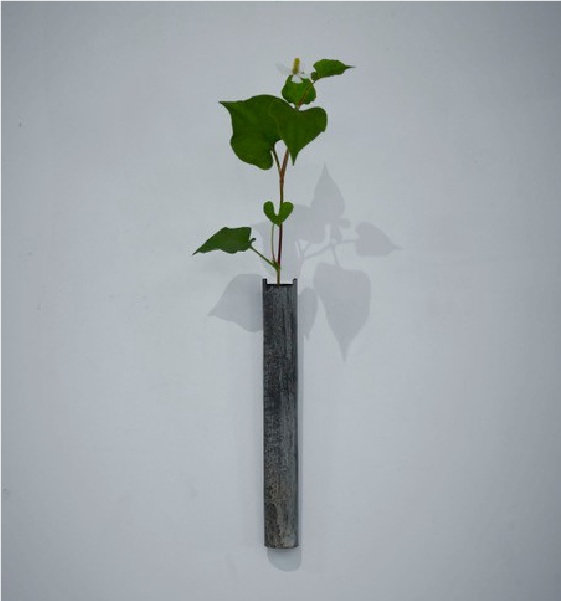 釋永 維