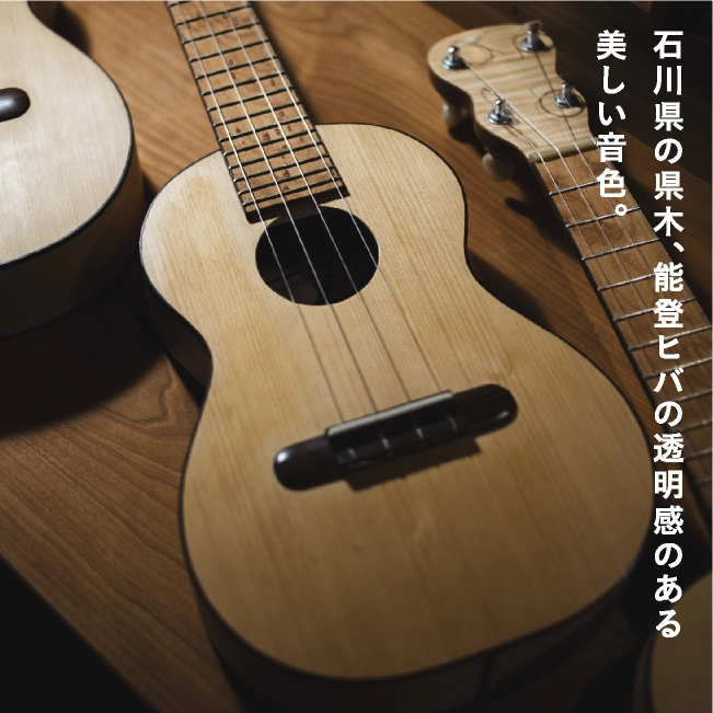 「近撥弦楽器」