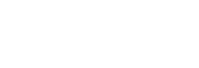 色糸や金銀糸で
								浮出し模様を表した
								ブロケードの袖がユニーク。