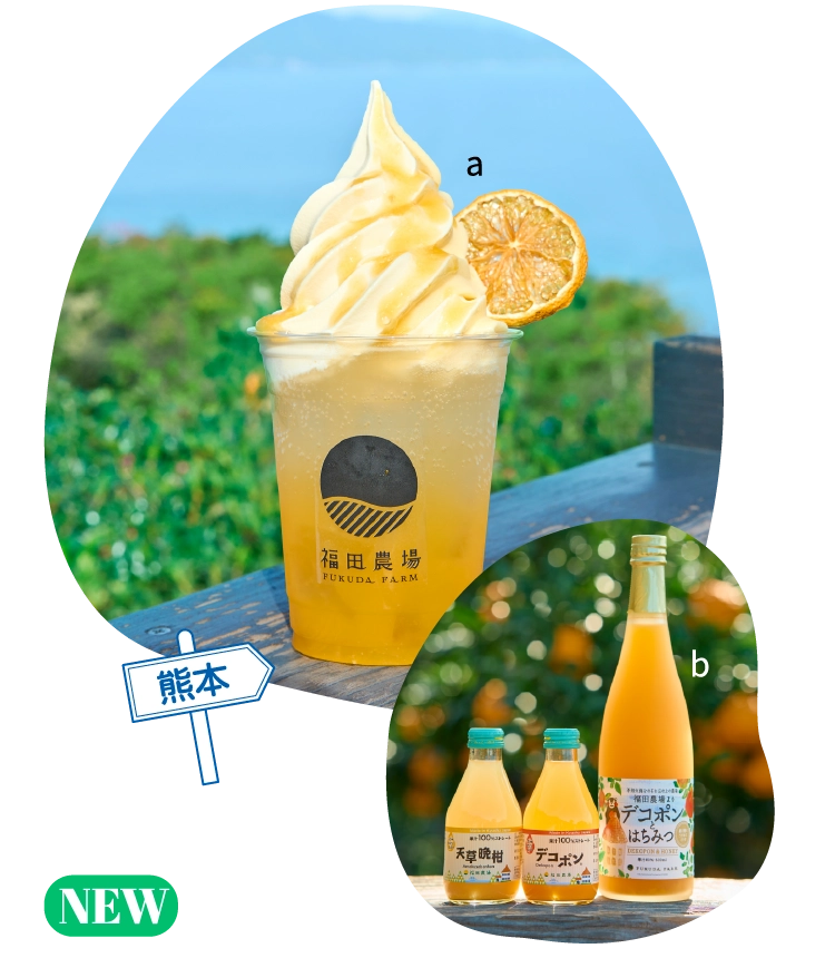 熊本「福田農場」