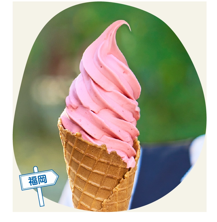 福岡「南国フルーツ」