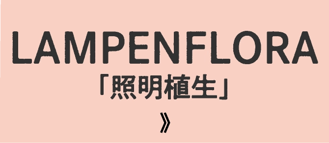 LAMPENFLORA「照明植生」
