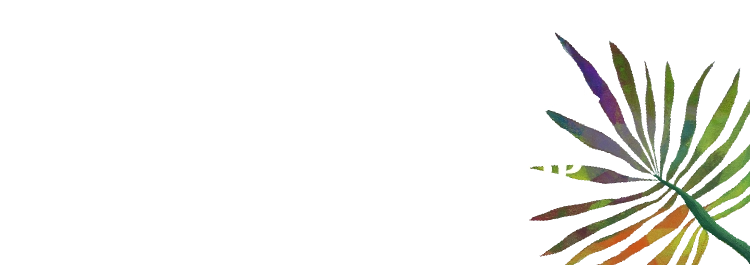 沖縄を感じるイベント