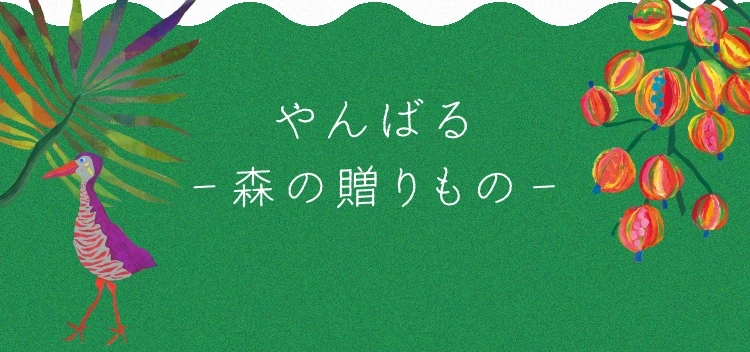 やんばる－森の贈りもの－
