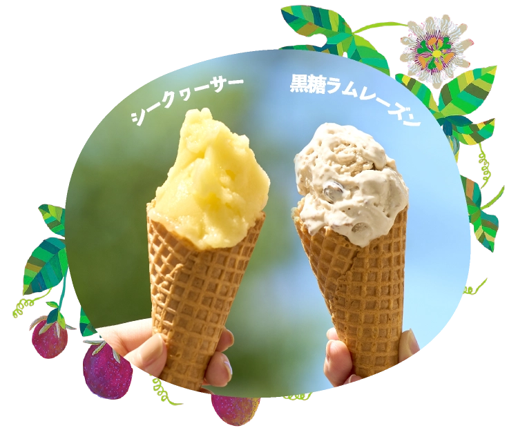 「H＆B ジェラ沖縄」