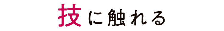 技に触れる