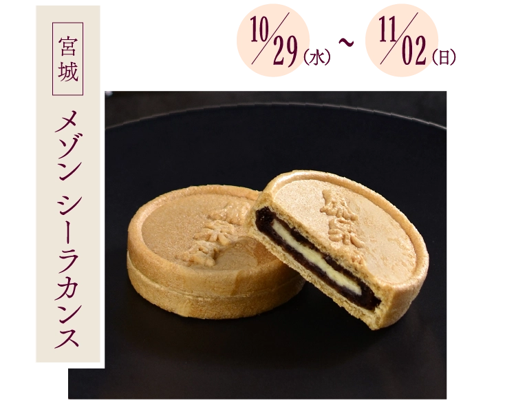 メゾン シーラカンス