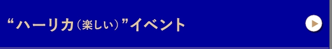 トルコを、もっと身近に“ハーリカ（楽しい）”イベント