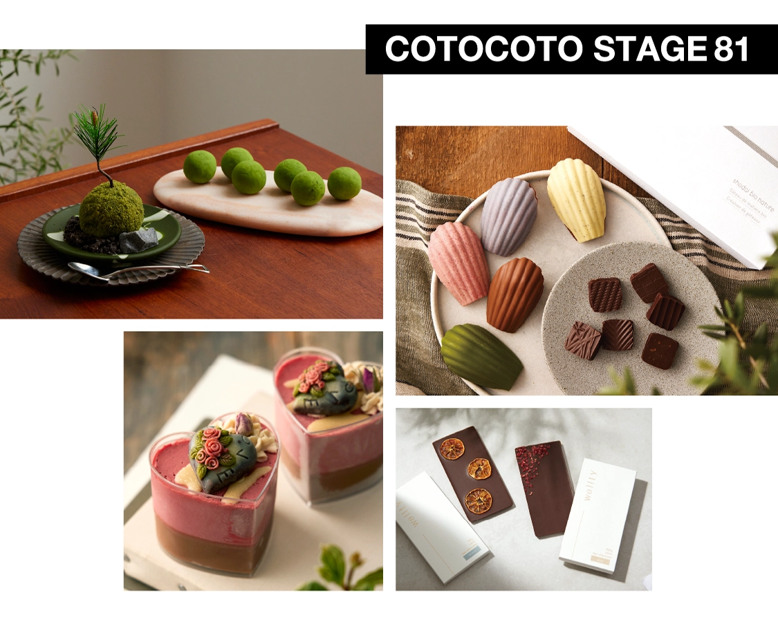 COTOCOTO STAGE81