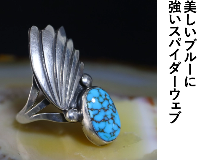 美しいブルーに強いスパイダーウェブ